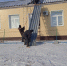 Восстановление жизнеобеспечения округа - Беловский район
