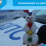 Профилактическая акция «Каникулы» - Беловский район