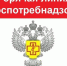 «Горячая линия» по вопросам защиты прав потребителей туристских услуг - Беловский район