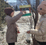 «Птицы в моём городе» - ЦБС г. Белово